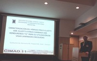 Ingenieros de la UTN FRVT participaron del “1º Congresso Ibero-LatinoAmericano da Madeira na Construção”, en Portugal