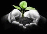 7mo Congreso Regional del Ambiente y Foro Global de Bioenergía en la ciudad de Rosario.