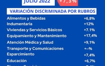 El Índice de Precios de julio arrojó la mayor suba desde abril 2002 con un aumento del 7,3% mensual