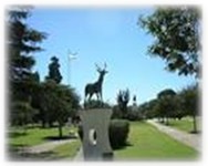 129º Aniversario Venado Tuerto